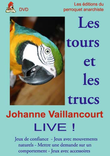 DVD Les tours et les trucs.